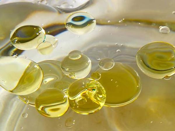 Which oil is best to cook? Which oil is best to cook?