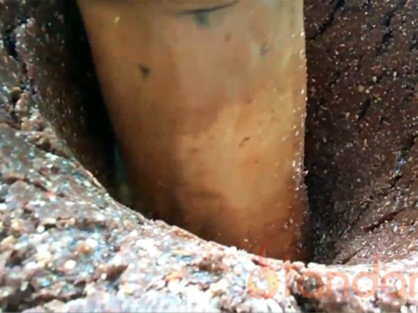 Which oil is best to cook? Which oil is best to cook?