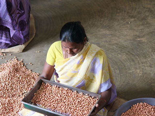 Which oil is best to cook? Which oil is best to cook?