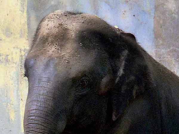 கவனத்தை ஈர்த்த சம்பவம் கவனத்தை ஈர்த்த சம்பவம்