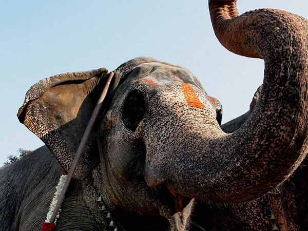 ஆச்சரியம் இல்லை ஆச்சரியம் இல்லை