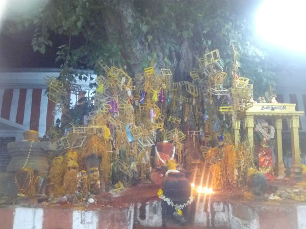 பேசும் தெய்வம் கோமதி 