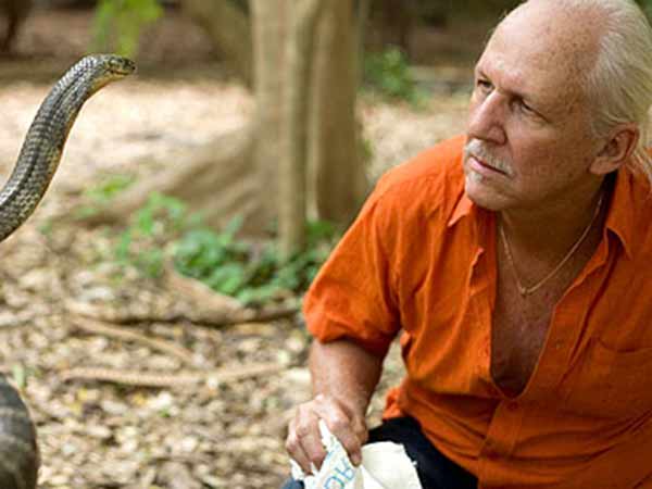 துன்புறுத்தாதீர்கள்