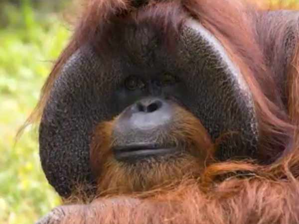 இதயநோயால் மரணம் இதயநோயால் மரணம்