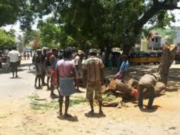 தொல்லியல் துறை 
