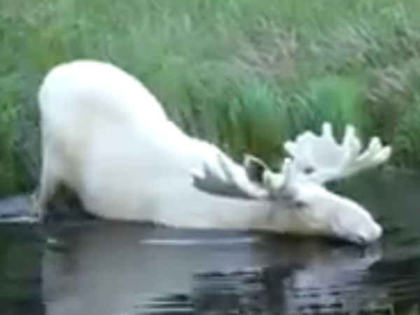  3 ஆண்டுகள் காத்திருப்பு 