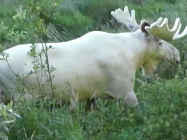  தினமும் பார்வை 