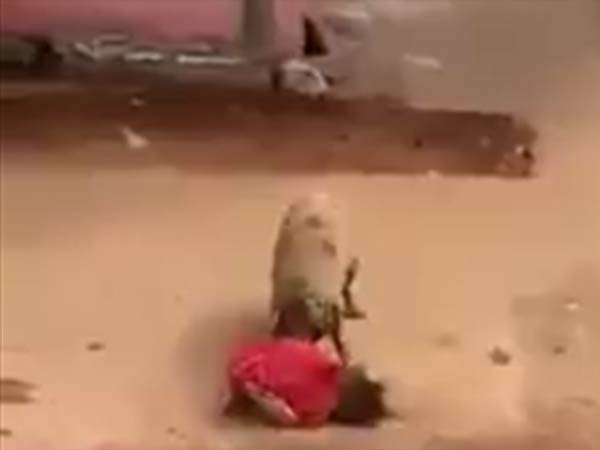 சிகிச்சை