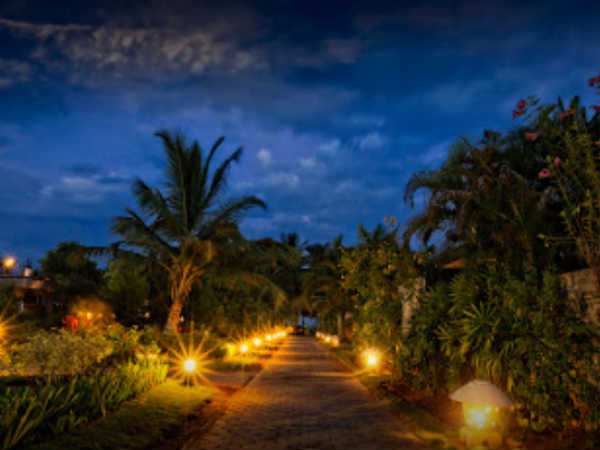  மினி கூவத்தூரான 'தி விண்ட் ப்ளவர்' 