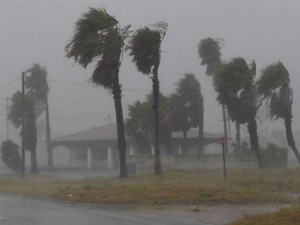 முடக்கம் 