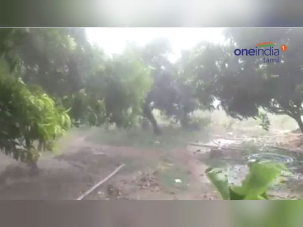 விவசாயிகள் மகிழ்ச்சி விவசாயிகள் மகிழ்ச்சி