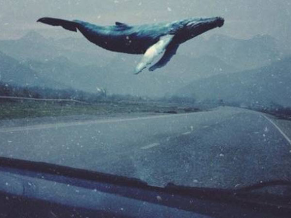 சைபர் கிரைம் சைபர் கிரைம்