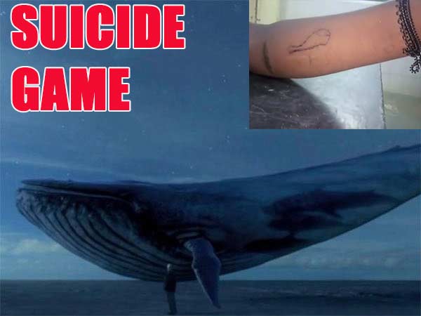  49 டாஸ்க்கள் நிறைவேற்றம் 