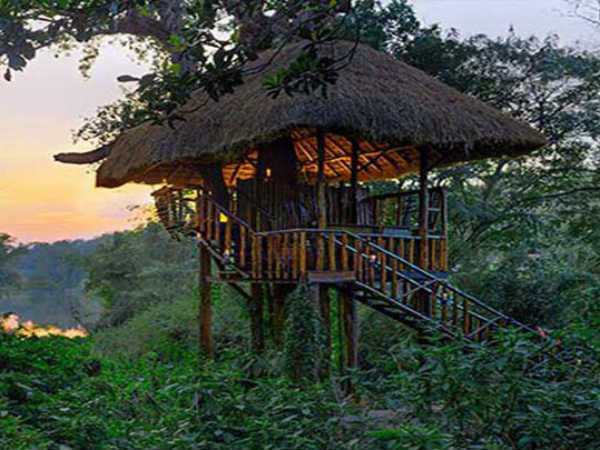 ஜக்கையன் ஜம்ப் 