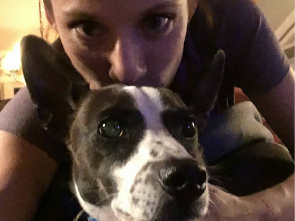  வளர்ப்புப் பிராணிகளை கைவிடாத மக்கள் 