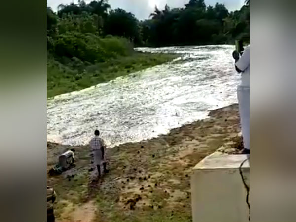 நெகிழ்ச்சி