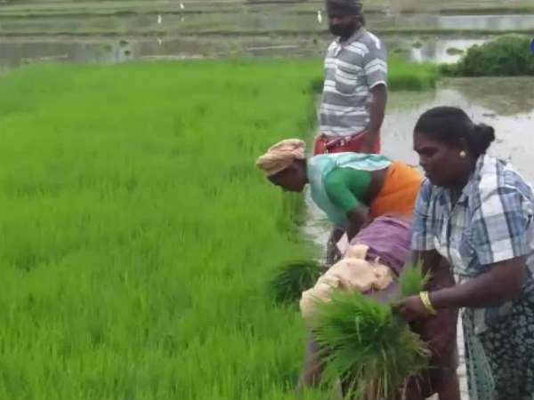  விவசாயிகள் மகிழ்ச்சி 