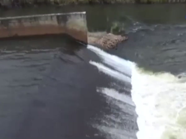 From Amaravathi Dam water is opened for kuruvai cultivation From Amaravathi Dam water is opened for kuruvai cultivation