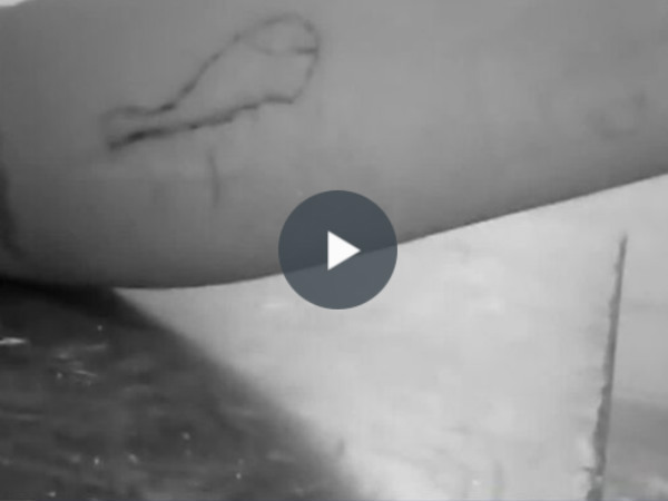 College student died in blue whale game in Madurai College student died in blue whale game in Madurai