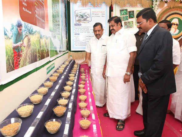 CM Palanisamy tells short story in MGR birthday function CM Palanisamy tells short story in MGR birthday function