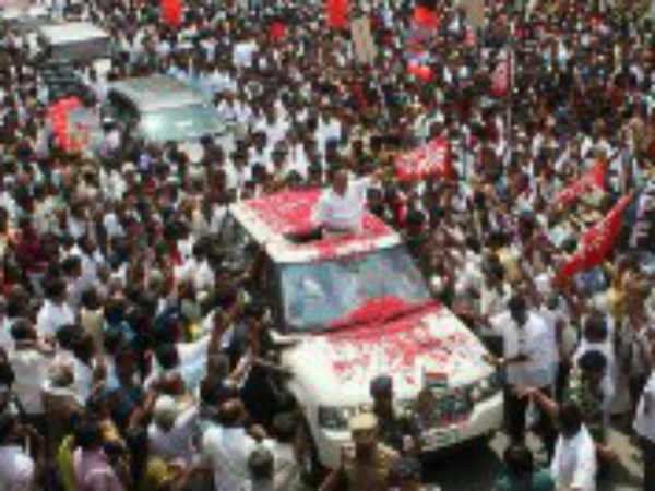 சில்வர் ஓக் மரம் வெட்டுவது தடுப்பு சில்வர் ஓக் மரம் வெட்டுவது தடுப்பு