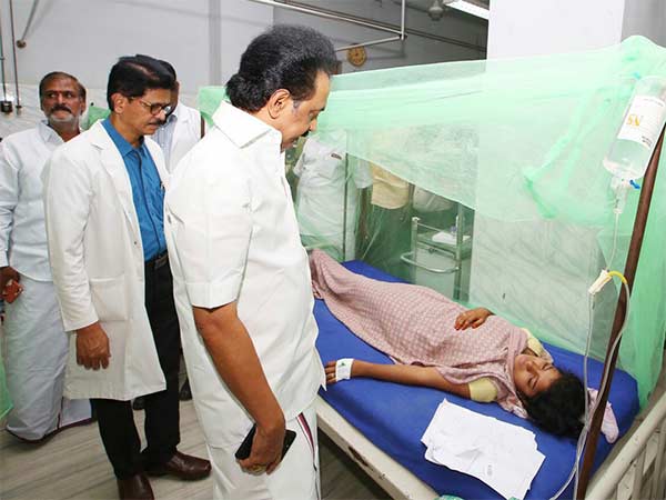 டெங்கு மரணங்கள் அதிகரிப்பு 