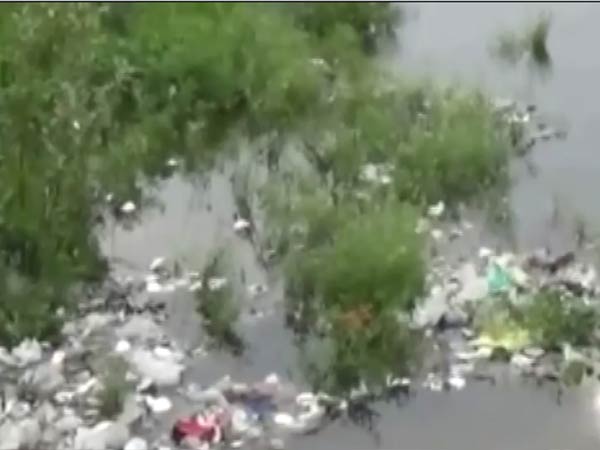 கொசுவின் புழுக்கள் 