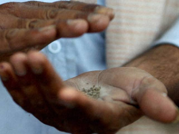 சில நாட்களில் அறிக்கை 