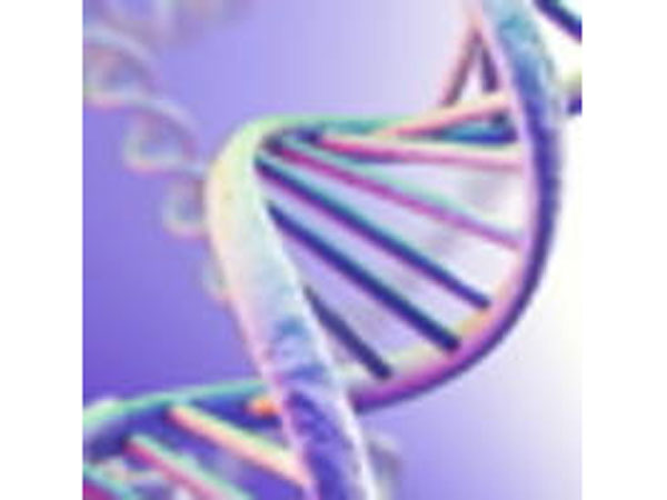 டிஎன்ஏ சோதனைக்கு தயார் 