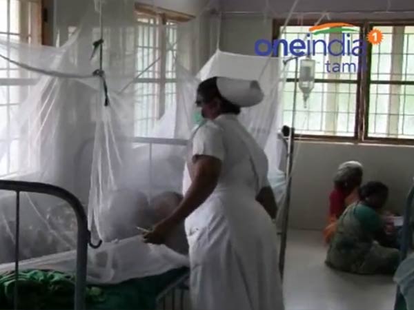 கொசு உருவாகாமல் தடுங்க