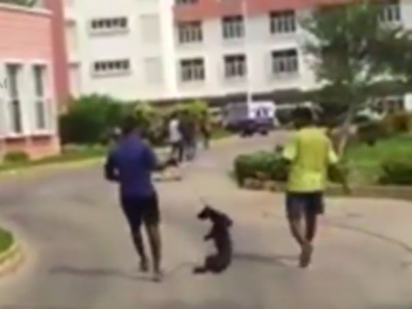  ப்ளூ கிராஸ் அமைப்பு புகார் 