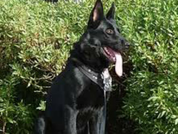 காலபுருஷ தத்துவம்: