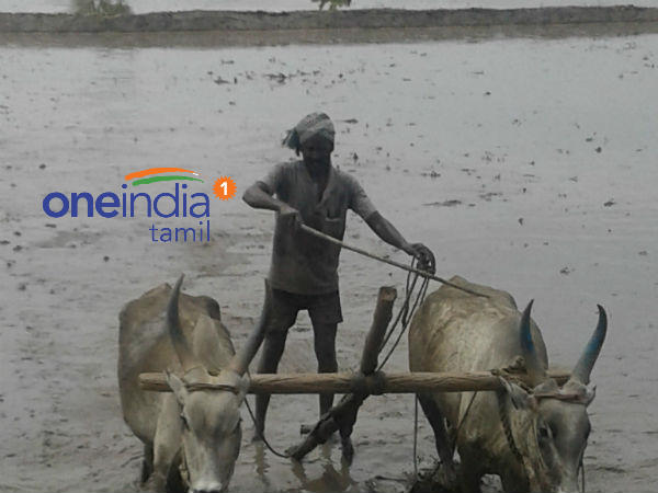 எங்கெங்கும் வெறுமை 