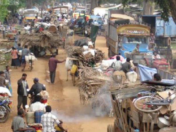 வன்னிக் காடுகளில் தஞ்சம் 