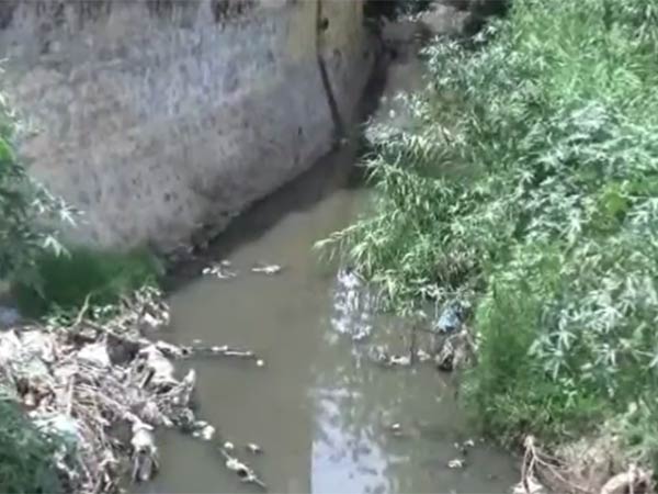 காலி மனைகளில் குப்பை 