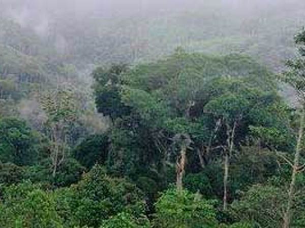 போர்க்களம் போல் காட்சியளித்தது 