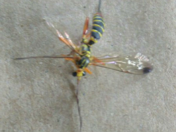  பொதுமக்கள் எதிர்பார்ப்பு 