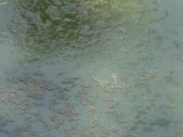 சென்னையில் வெள்ளம் 