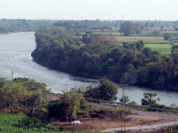 பாய்ந்தோடிய மழைநீர் 