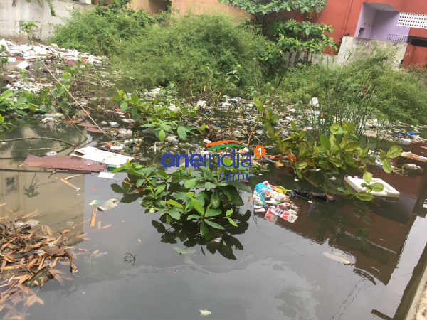 துரைப்பாக்கத்தில் 