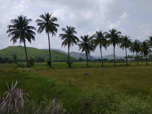  1000 year old Ayyanar statue found near Arani