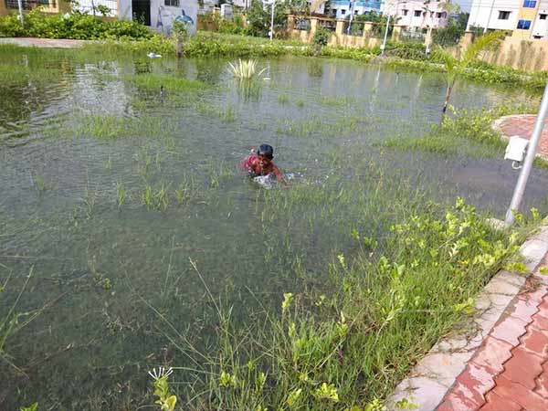 புறநகரில் குளிர் காற்று 