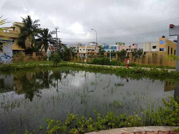  கால்வாய்களில் குப்பைகள்