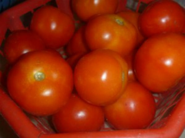 காய்கறி விலை தாறுமாறு