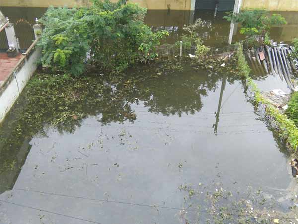 ஒருமழைக்கே இப்படி 