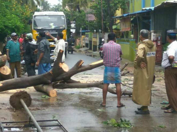 துணை ஆணையர் ராஜேந்திரன் 