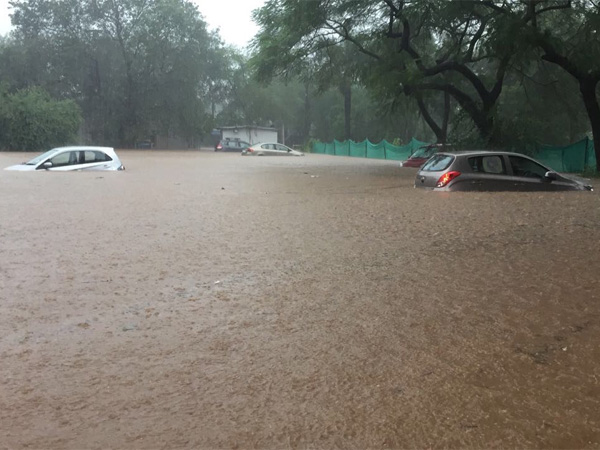 முதல் சில நாட்களிலேயே வெள்ளம் முதல் சில நாட்களிலேயே வெள்ளம்