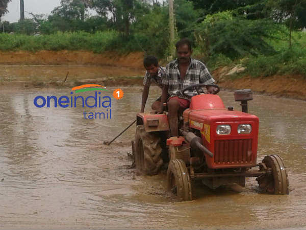 டெல்டா மாவட்டங்களில் கனமழை 