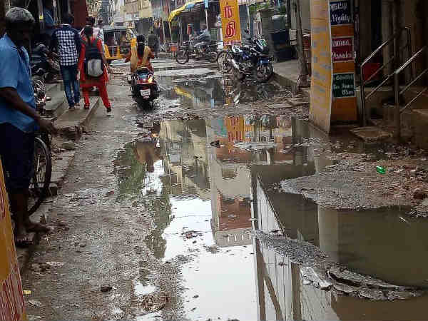 பள்ளி செல்லும் குழந்தைகள் 