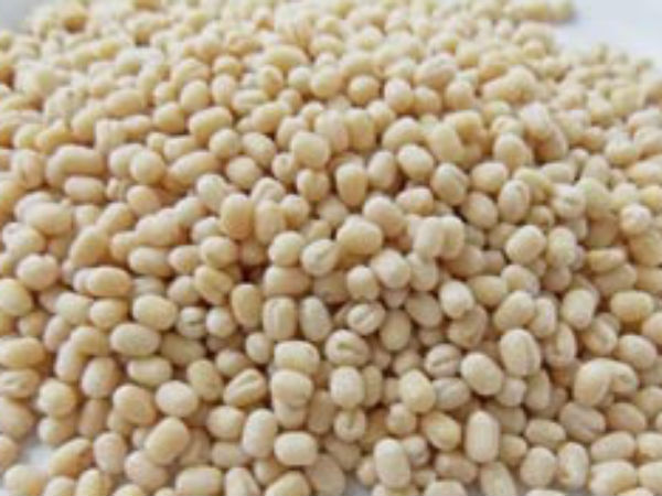 பருப்பு இல்லையே